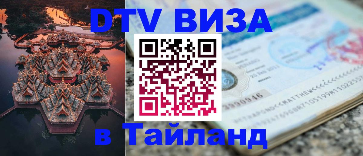 Оформление DTV визы под ключ: стоимость и тарифы, только загранпаспорт - 